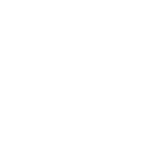 Close Icon