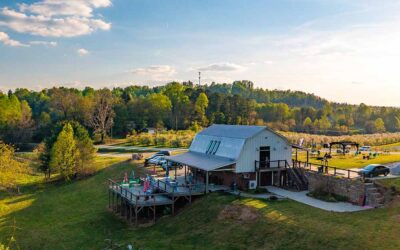 Ramble from Orchards to Vineyards