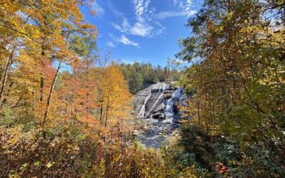 2023 Fall Color Report