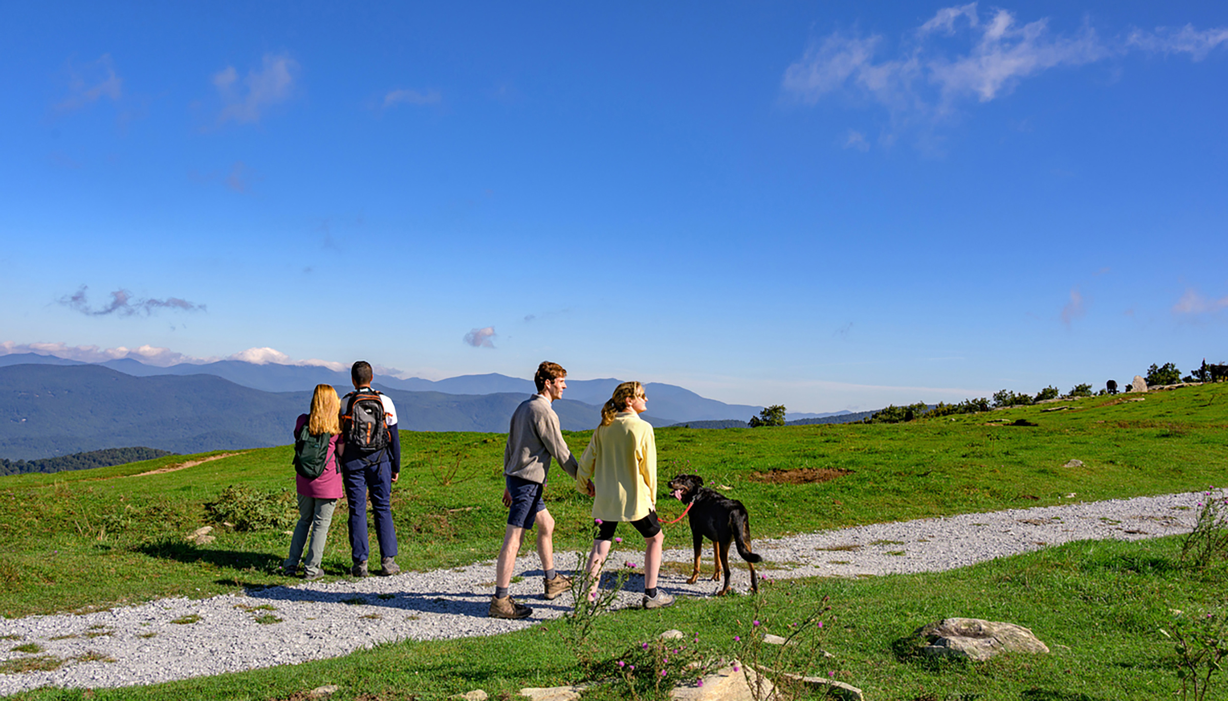 people and dog walking on a path through a green field with mountain views in background