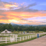 The Horse Shoe Farm
