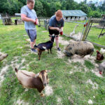 Hendo Care Farm