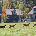 Highland Lake Properties, LLC