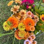 Singing Flower Farm