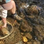 WNC Fish Hunter