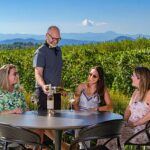 Marked Tree Vineyard