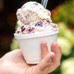 McConnell Farms Ice Cream
