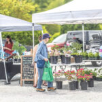 Mills River Farm Market