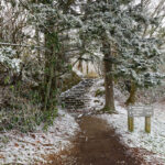 Mountains to Sea Trail