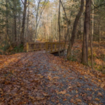 Buffalo Creek Park
