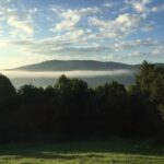 Snaggy Knob
