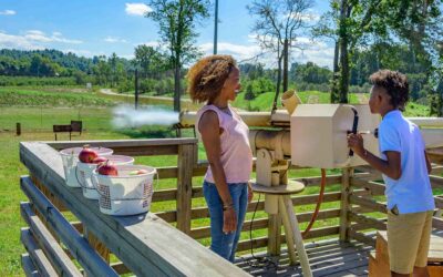 Family – Weekend Itinerary