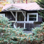 White Squirrel Cabins
