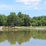 Camp Pinewood
