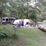 Davidson River Campground