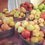 Creasman Farms