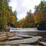DuPont State Recreational Forest