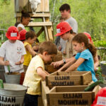 Elijah Mountain Gem Mine