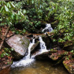 Florence Nature Preserve