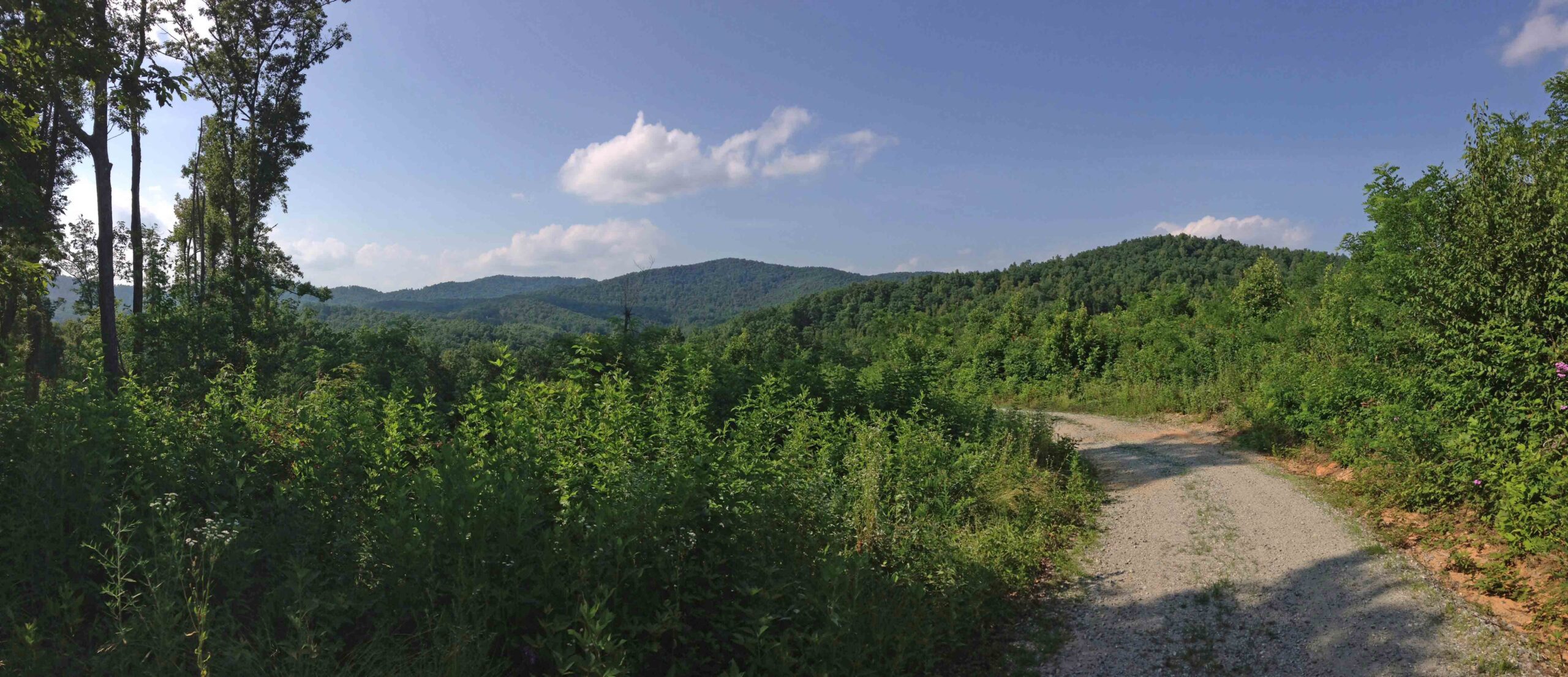 hiking trail