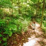 Holmes Educational State Forest