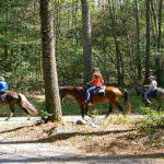 Saddle Up Trail Rides