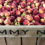 Jimmy Nix & Sons Apple House