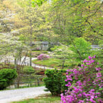 Lakemont Cottages