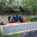 Mills River Park