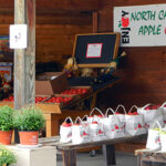 Mountain Fresh Orchards