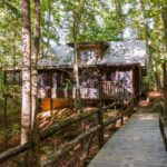 Cabin Fever