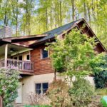Mt Mitchell View Cabin