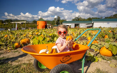 Great Spots for Pumpkin Picking
