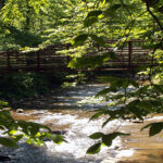 North Mills River Recreation Area & Campground