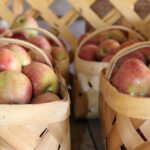 Apple House & Owenby Orchards