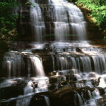 Pearson’s Falls Nature Preserve