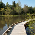 Rhododendron Lake Nature Park