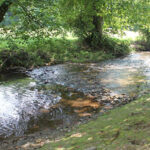 Rock Creek Campground