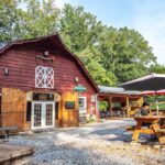 Sawyer Springs Vineyard