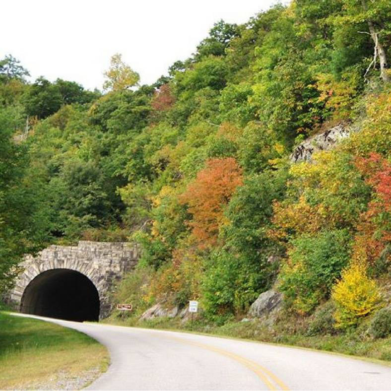 view of tunnel on the Blue Ridge Parkway during fall with leaves on trees surrounding tunnel changing color