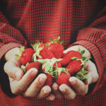 Pressley Farms