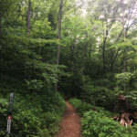 Trombatore Trail