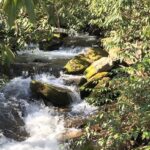 Wildcat Rock Trail